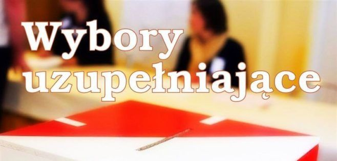 Wybory uzupełniające