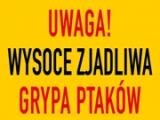 News zdjęcie id 1352